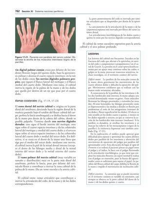 154017468-Anatomia-Humana-Garcia-Porrero-pdf.pdf