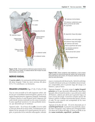 154017468-Anatomia-Humana-Garcia-Porrero-pdf.pdf