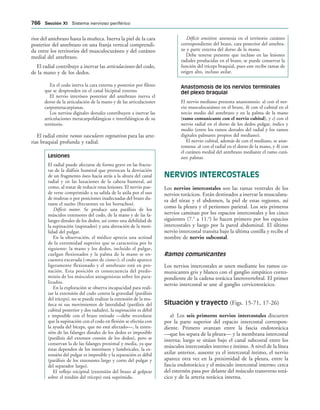 154017468-Anatomia-Humana-Garcia-Porrero-pdf.pdf
