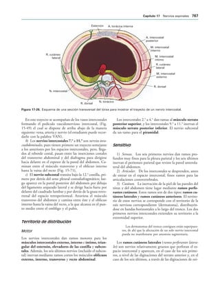 154017468-Anatomia-Humana-Garcia-Porrero-pdf.pdf