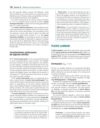 154017468-Anatomia-Humana-Garcia-Porrero-pdf.pdf