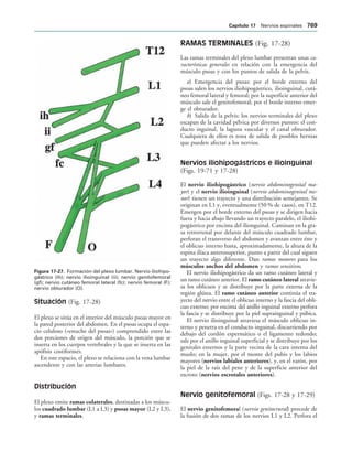 154017468-Anatomia-Humana-Garcia-Porrero-pdf.pdf