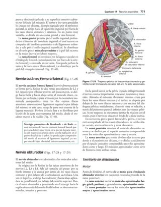 154017468-Anatomia-Humana-Garcia-Porrero-pdf.pdf