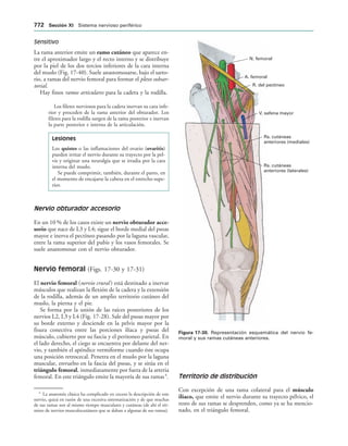 154017468-Anatomia-Humana-Garcia-Porrero-pdf.pdf