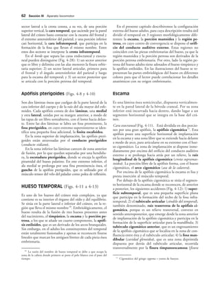 sector lateral a la cresta consta, a su vez, de una porción
superior vertical, la cara temporal, que asciende por la pared
lateral del cráneo hasta contactar con la escama del frontal y
el extremo anteroinferior del parietal, y una porción inferior
casi horizontal, la cara infratemporal, que participa en la
formación de la fosa que llevan el mismo nombre. Entre
estos dos sectores se interpone la cresta infratemporal.
En el borde que separa las caras endocraneal y exocra-
neal pueden distinguirse (Fig. 4-28): 1) un sector anterior
que es libre y delimita con las alas menores la fisura orbir-
taria superior; 2) un sector lateral articular, primero para
el frontal y el ángulo anteroinferior del parietal y luego
para la escama del temporal; y 3) un sector posterior que
se articula con la porción petrosa del temporal.
Apófisis pterigoides (Figs. 4-8 y 4-10)
Son dos láminas óseas que cuelgan de la parte lateral de la
cara inferior del cuerpo y de la raíz del ala mayor del esfe-
noides. Cada apófisis consta de dos láminas, una medial
y otra lateral, unidas por su margen anterior, a modo de
las tapas de un libro semiabierto, con el lomo hacia delan-
te. Entre las dos láminas se labra un fosa prominente, la
fosa pterigoidea, en cuyo extremo superointerno se iden-
tifica una pequeña fosa adicional, la fosita escafoidea.
En la zona superior de implantación, las apófisis pteri-
goides están atravesadas por el conducto pterigoideo
(conducto vidiano).
En la zona inferior las láminas carecen de zona anterior
de fusión, por lo que quedan separadas por una hendidu-
ra, la escotadura pterigoidea, donde se encaja la apófisis
piramidal del hueso palatino. En este extremo inferior, el
ala medial se prolonga por una fina prominencia ósea, el
gancho de la apófisis pterigoides, que es utilizado por el
músculo tensor del velo del paladar como polea de reflexión.
HUESO TEMPORAL (Figs. 4-11 a 4-13)
Es uno de los huesos del cráneo más complejos, ya que
contiene es su interior el órgano del oído y del equilibrio.
Se sitúa en la parte lateral e inferior del cráneo, en la re-
gión que lleva el mismo nombre10
. Embriológicamente, el
hueso resulta de la fusión de tres huesos presentes antes
del nacimiento, el timpánico, la escama y la porción pe-
trosa, a los que se añade un cuarto componente, la apófi-
sis estiloides, que es un derivado de los arcos branquiales.
Sin embargo, en el adulto los constituyentes del temporal
están totalmente fusionados y apenas se reconocen fisuras
lineales que marcan los antiguos límites de cada pieza ósea
embrionaria.
En el presente capítulo describiremos la configuración
externa del hueso adulto, para cuya descripción resulta útil
dividir el temporal en 3 regiones morfológicamente dife-
rentes: la escama, la porción mastoidea y la región pe-
trosa, en cuyo centro de convergencia se dispone el orifi-
cio del conducto auditivo externo. Estas regiones no
coinciden con las piezas embrionarias del hueso, ya que la
región mastoidea y la porción petrosa son derivados de la
porción petrosa embrionaria. Por otro, lado la región pe-
trosa del hueso adulto tiene adosados el hueso timpánico y
la apófisis estiloides. En las ilustraciones del hueso se re-
presentan las partes embriológicas del hueso en diferentes
colores para que el lector puede correlacionar los detalles
anatómicos con su origen embrionario.
Escama
Es una lámina ósea semicircular, dispuesta verticalmen-
te en la pared lateral de la bóveda craneal. Por su zona
inferior está incurvada hacia dentro, dando lugar a un
segmento horizontal que se integra en la base del crá-
neo.
Cara exocraneal (Fig. 4-11). Está dividida en dos porcio-
nes por una gran apófisis, la apófisis cigomática11
. Esta
apófisis posee una superficie horizontal de implantación
en la escama y una zona libre que se extiende hacia delante
a modo de arco, para articularse en su extremo con el hue-
so cigomático. La zona de implantación se dispone inme-
diatamente por encima del orificio del conducto auditivo
externo y se prolonga hacia atrás por un relieve, la raíz
longitudinal de la apófisis cigomática (cresta supramas-
toidea). La porción libre de la apófisis forma, con el hueso
cigomático, el arco cigomático (asa de la calavera).
Por encima de la apófisis cigomática la escama es lisa y
presta inserción al músculo temporal.
Por debajo de la apófisis cigomática se sitúa el segmen-
to horizontal de la escama donde se reconocen, de anterior
a posterior, los siguientes accidentes (Fig. 4-12): 1) super-
ficie subtemporal, que es una pequeña superficie plana
que participa en la formación del techo de la fosa infra-
temporal; 2) el tubérculo articular (cóndilo del temporal),
también denominado, raíz transversa de la apófisis ci-
gomática, porque es un relieve transversal, convexo en
sentido anteroposterior, que emerge desde la zona anterior
de implantación de la apófisis cigomática y participa en la
formación de la superficie articular para la mandíbula; 3)
tubérculo cigomático anterior, que es un engrosamiento
de la apófisis cigomática que se localiza en la zona de con-
fluencia entre ésta y el tubérculo articular; 4) la fosa man-
dibular (cavidad glenoidea), que es una zona deprimida
dispuesta por detrás del tubérculo articular, recorrida
transversalmente por la fisura timpanoescamosa (fisura
10
La razón del nombre de hueso temporal se debe a que ocupa la
zona de la cabeza donde primero se pone el pelo blanco con el paso del
tiempo. 11
Cigomático del griego zygoma = yunta de bueyes.
 3ECCIØN ))) Aparato locomotor
 