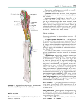 154017468-Anatomia-Humana-Garcia-Porrero-pdf.pdf