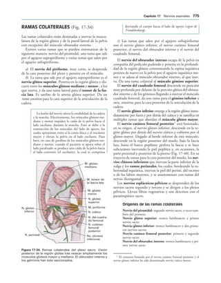 154017468-Anatomia-Humana-Garcia-Porrero-pdf.pdf