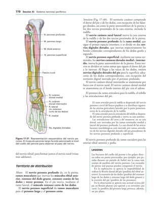154017468-Anatomia-Humana-Garcia-Porrero-pdf.pdf