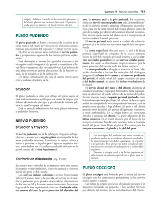 154017468-Anatomia-Humana-Garcia-Porrero-pdf.pdf
