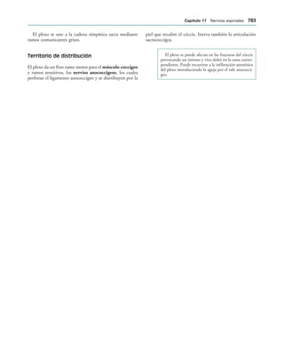 154017468-Anatomia-Humana-Garcia-Porrero-pdf.pdf