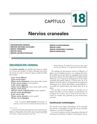 154017468-Anatomia-Humana-Garcia-Porrero-pdf.pdf