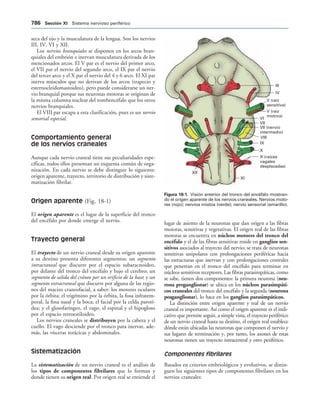 154017468-Anatomia-Humana-Garcia-Porrero-pdf.pdf