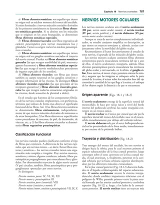 154017468-Anatomia-Humana-Garcia-Porrero-pdf.pdf