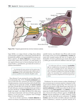 154017468-Anatomia-Humana-Garcia-Porrero-pdf.pdf