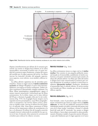 154017468-Anatomia-Humana-Garcia-Porrero-pdf.pdf