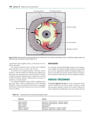 154017468-Anatomia-Humana-Garcia-Porrero-pdf.pdf