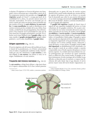 154017468-Anatomia-Humana-Garcia-Porrero-pdf.pdf