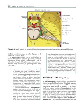 154017468-Anatomia-Humana-Garcia-Porrero-pdf.pdf