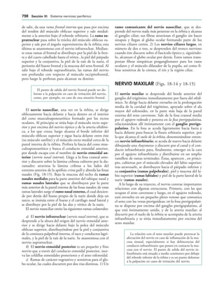 154017468-Anatomia-Humana-Garcia-Porrero-pdf.pdf