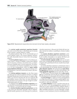 154017468-Anatomia-Humana-Garcia-Porrero-pdf.pdf