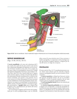 154017468-Anatomia-Humana-Garcia-Porrero-pdf.pdf