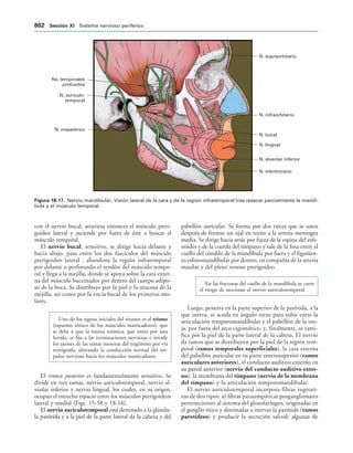 154017468-Anatomia-Humana-Garcia-Porrero-pdf.pdf