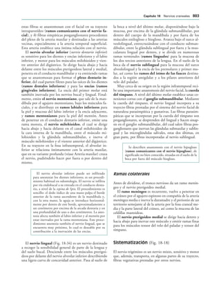 154017468-Anatomia-Humana-Garcia-Porrero-pdf.pdf