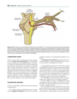 154017468-Anatomia-Humana-Garcia-Porrero-pdf.pdf
