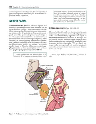 154017468-Anatomia-Humana-Garcia-Porrero-pdf.pdf