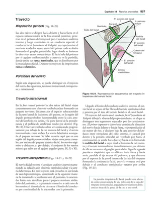 154017468-Anatomia-Humana-Garcia-Porrero-pdf.pdf
