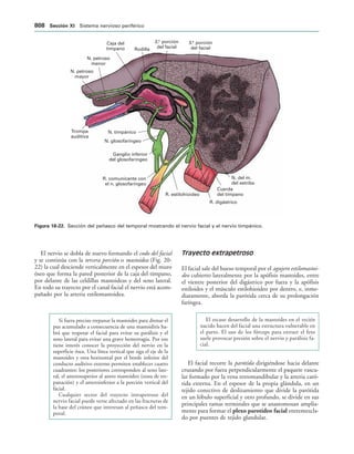 154017468-Anatomia-Humana-Garcia-Porrero-pdf.pdf