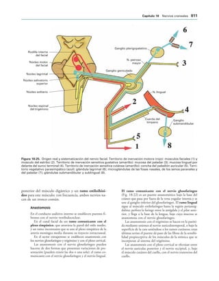 154017468-Anatomia-Humana-Garcia-Porrero-pdf.pdf