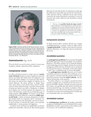 154017468-Anatomia-Humana-Garcia-Porrero-pdf.pdf