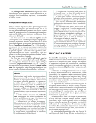 154017468-Anatomia-Humana-Garcia-Porrero-pdf.pdf