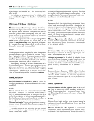 154017468-Anatomia-Humana-Garcia-Porrero-pdf.pdf