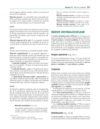 154017468-Anatomia-Humana-Garcia-Porrero-pdf.pdf