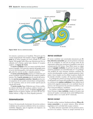 154017468-Anatomia-Humana-Garcia-Porrero-pdf.pdf