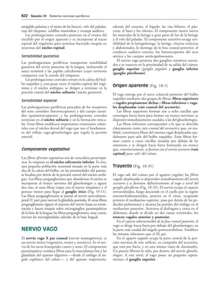 154017468-Anatomia-Humana-Garcia-Porrero-pdf.pdf