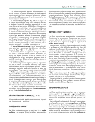 154017468-Anatomia-Humana-Garcia-Porrero-pdf.pdf