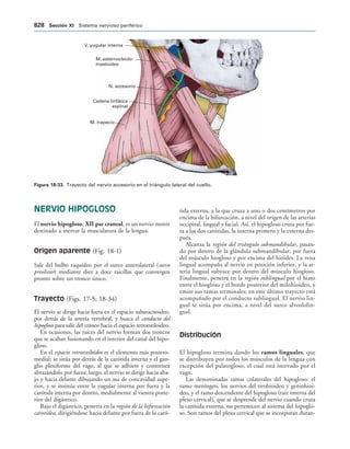 154017468-Anatomia-Humana-Garcia-Porrero-pdf.pdf