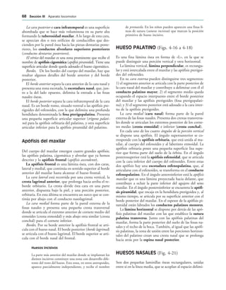 La cara posterior o cara infratemporal es una superficie
abombada que se hace más voluminosa en su parte alta
formando la tuberosidad maxilar. A lo largo de esta cara,
se aprecian dos o tres orificios de conductillos que des-
cienden por la pared ósea hacia las piezas dentarias poste-
riores, los conductos alveolares superiores posteriores
(conductos dentarios posteriores).
El vértice del maxilar es una zona prominente que recibe el
nombre de apófisis cigomática (apófisis piramidal). Tiene una
superficie articular donde queda adosado el hueso cigomático.
Bordes. De los bordes del cuerpo del maxilar, hay que
resaltar algunos detalles del borde anterior y del borde
posterior.
El borde anterior separa la cara anterior de la cara nasal y
presenta una zona escotada, la escotadura nasal, que, jun-
to a la del lado opuesto, delimita la entrada a las fosas
nasales óseas.
El borde posterior separa la cara infratemporal de la cara
nasal. Es un borde romo, situado ventral a las apófisis pte-
rigoides del esfenoides, con la que delimita una profunda
hendidura denominada la fosa pterigopalatina. Presenta
una pequeña superficie articular superior (trígono palati-
no) para la apófisis orbitaria del palatino, y otra superficie
articular inferior para la apófisis piramidal del palatino.
Apófisis del maxilar
Del cuerpo del maxilar emergen cuatro grandes apófisis;
las apófisis palatina, cigomática y alveolar que ya hemos
descrito y la apófisis frontal (apófisis ascendente).
La apófisis frontal es una lámina ósea, con dos caras,
lateral y medial, que continúa en sentido superior al borde
anterior del maxilar hasta alcanzar el hueso frontal.
La cara lateral está recorrida por una cresta vertical, la
cresta lagrimal anterior, que prolonga hacia arriba el re-
borde orbitario. La cresta divide ésta cara en una parte
anterior, dispuesta bajo la piel, y una porción posterior,
orbitaria. En esta última se encuentra un surco que se con-
tinúa por abajo con el conducto nasolagrimal.
La cara medial forma parte de la pared externa de la
fosas nasales y presenta una pequeña cresta transversal
donde se articula el extremo anterior de cornete medio del
etmoides (cresta etmoidal) y más abajo otra similar (cresta
conchal) para el cornete inferior.
Bordes. Por su borde anterior la apófisis frontal se arti-
cula con el hueso nasal. El borde posterior (borde lagrimal)
se articula con el hueso lagrimal. El borde superior se arti-
cula con el borde nasal del frontal.
Huesos incisivos
La parte más anterior del maxilar donde se implantan los
dientes incisivos constituye una zona con desarrollo dife-
rente del resto del hueso. Esta zona, en otros antropoides,
aparece parcialmente independiente, y recibe el nombre
de premaxila. En los niños pueden aparecen una finas lí-
neas de sutura (suturas incisivas) que marcan la posición
primitiva de hueso incisivo.
HUESO PALATINO (Figs. 4-16 a 4-18)
Es una fina lámina ósea en forma de «L», en la que se
puede distinguir una porción vertical y otra horizontal.
La lámina vertical, lámina perpendicular, es rectangu-
lar y está intercalada entre el maxilar y las apófisis pterigoi-
des del esfenoides.
En su cara externa pueden distinguirse tres segmentos:
1) el segmento anterior se articula con la parte posterior de
la cara nasal del maxilar y contribuye a delimitar con él el
conducto palatino mayor; 2) el segmento medio queda
ocupando el espacio interpuesto entre el borde posterior
del maxilar y las apófisis pterigoides (fosa pterigopalati-
na); y 3) el segmento posterior está adosado a la cara inter-
na de la apófisis pterigoides.
La cara medial (cara nasal) forma parte de la pared
externa de las fosas nasales. Presenta dos crestas transversa-
les donde se articulan los extremos posterior de los corne-
tes medio (cresta etmoidal) e inferior (cresta conchal).
En cada uno de los cuatro ángulos de la porción vertical
se dispone una apófisis. El ángulo superoanterior se co-
rresponde con la apófisis orbitaria, que está unida al ma-
xilar, al cuerpo del esfenoides y al laberinto etmoidal. La
apófisis orbitaria posee una pequeña superficie lisa supe-
rior que forma parte del suelo de la órbita. En el ángulo
posterosuperior está la apófisis esfenoidal, que se articula
con la cara inferior del cuerpo del esfenoides. Entre estas
dos apófisis hay una escotadura esfenopalatina, que, al
articularse con el esfenoides, se transforma en el conducto
esfenopalatino. En el ángulo anteroinferior está la apófisis
maxilar que es una lámina proyectada hacia delante, que
contribuye a ocluir la parte inferior del agujero del seno
maxilar. En el ángulo posteroinferior se encuentra la apófi-
sis piramidal, que encaja en la hendidura pterigoidea y, al
mismo tiempo, se articula por su superficie anterior con el
borde posterior del maxilar. En el espesor de la apófisis pi-
ramidal están labrados los conductos palatinos menores.
La lámina horizontal se dispone por detrás de las apó-
fisis palatinas del maxilar con las que establece la sutura
palatina transversa. Junto con las apófisis palatinas del
maxilar, forma la parte posterior del suelo de las fosas na-
sales y el techo de la boca. También, al igual que las apófi-
sis palatinas, la zona de unión entre las porciones horizon-
tales del palatino crean una cresta nasal que se prolonga
hacia atrás por la espina nasal posterior.
HUESOS NASALES (Fig. 4-21)
Son dos pequeñas laminillas óseas rectangulares, unidas
entre sí en la línea media, que se acoplan al espacio delimi-
 3ECCIØN ))) Aparato locomotor
 