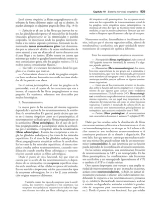 154017468-Anatomia-Humana-Garcia-Porrero-pdf.pdf