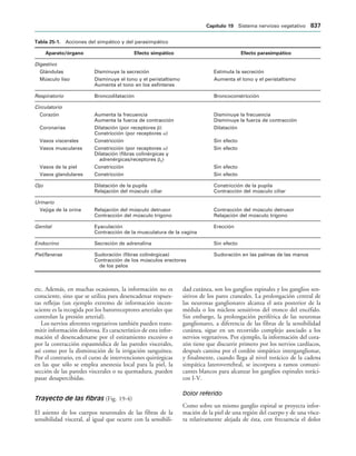 154017468-Anatomia-Humana-Garcia-Porrero-pdf.pdf