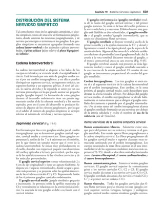 154017468-Anatomia-Humana-Garcia-Porrero-pdf.pdf