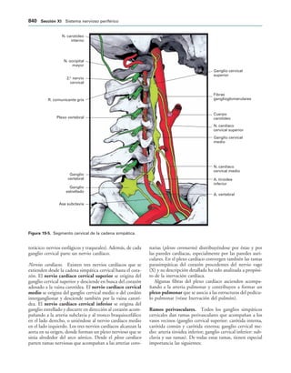 154017468-Anatomia-Humana-Garcia-Porrero-pdf.pdf