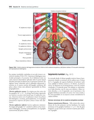 154017468-Anatomia-Humana-Garcia-Porrero-pdf.pdf