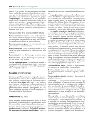 154017468-Anatomia-Humana-Garcia-Porrero-pdf.pdf