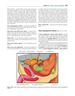 154017468-Anatomia-Humana-Garcia-Porrero-pdf.pdf
