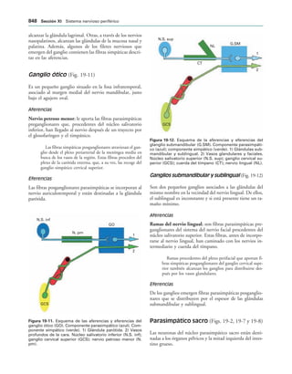154017468-Anatomia-Humana-Garcia-Porrero-pdf.pdf