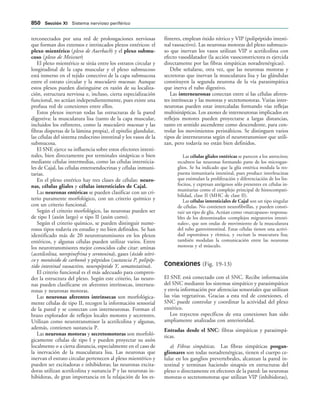 154017468-Anatomia-Humana-Garcia-Porrero-pdf.pdf